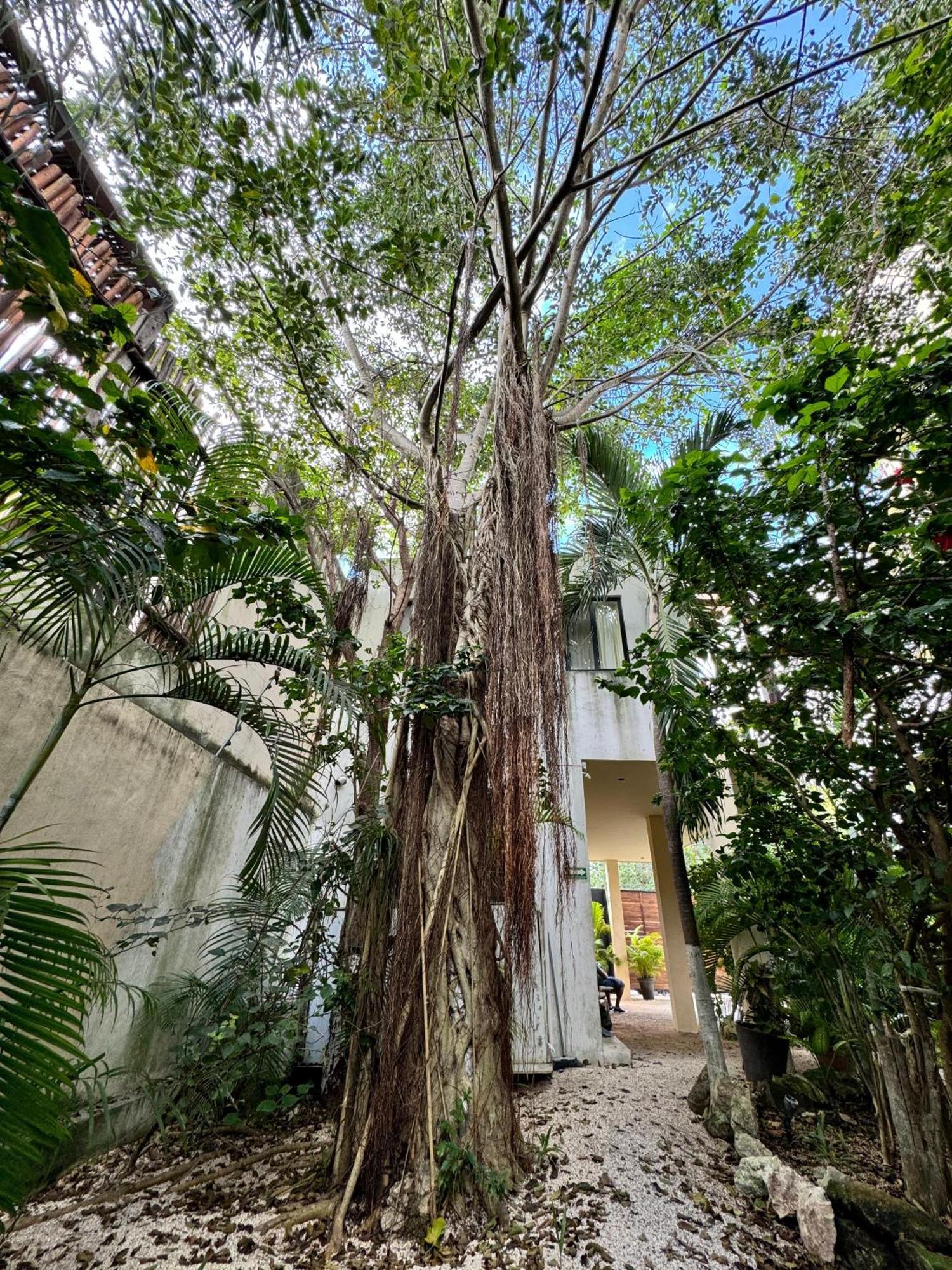 Starfit Hotel Boutique Beachclub, Spa & Gym Included Tulum Exteriér fotografie